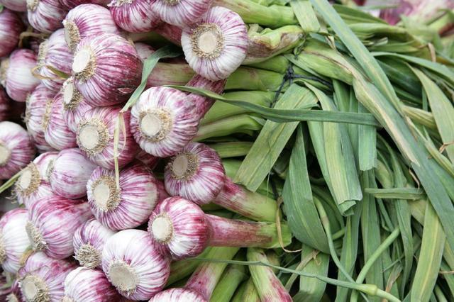 我国大蒜价格持续上涨，2020年“蒜你狠”局面会到来吗？