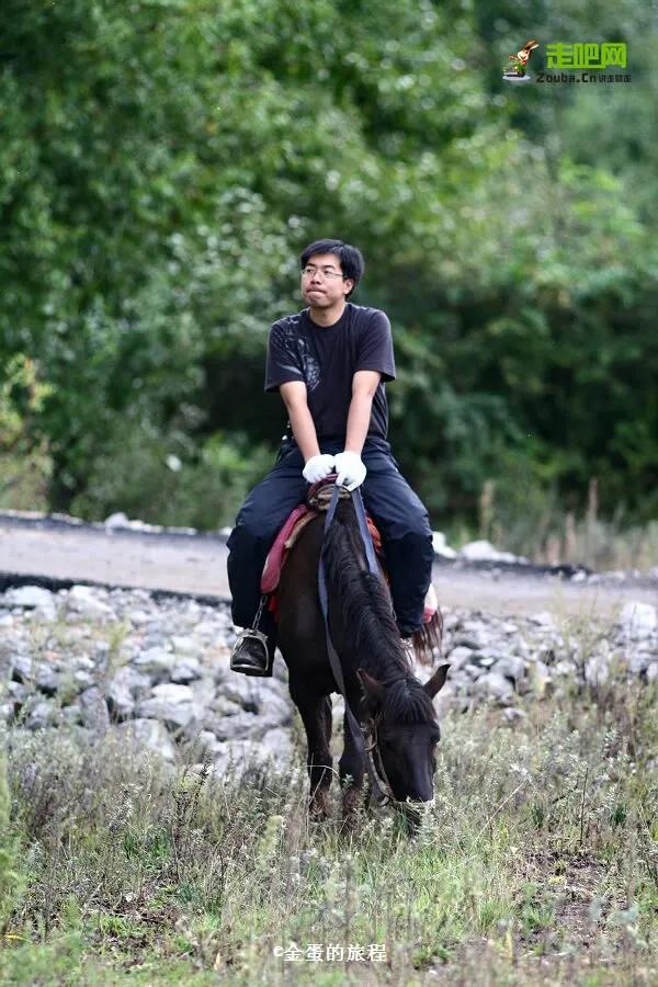 旅行达人都有哪些,高颜值旅行达人