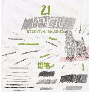 毛笔水彩画笔,ai笔刷画矢量插画