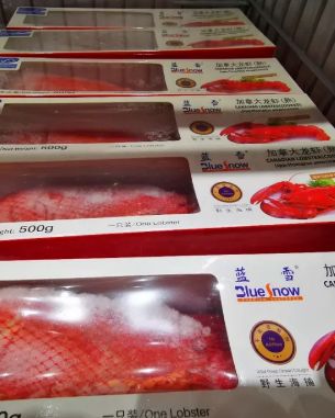 正定洋货这么多，双十一超低折扣，你还不来看看