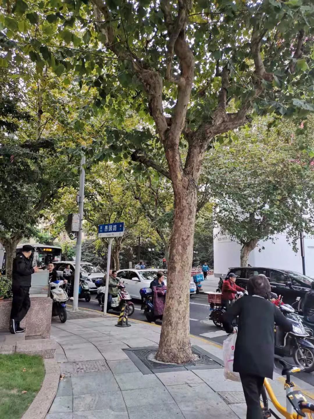 他听了我的话，在上海买了这套房，从此以后飞黄腾达