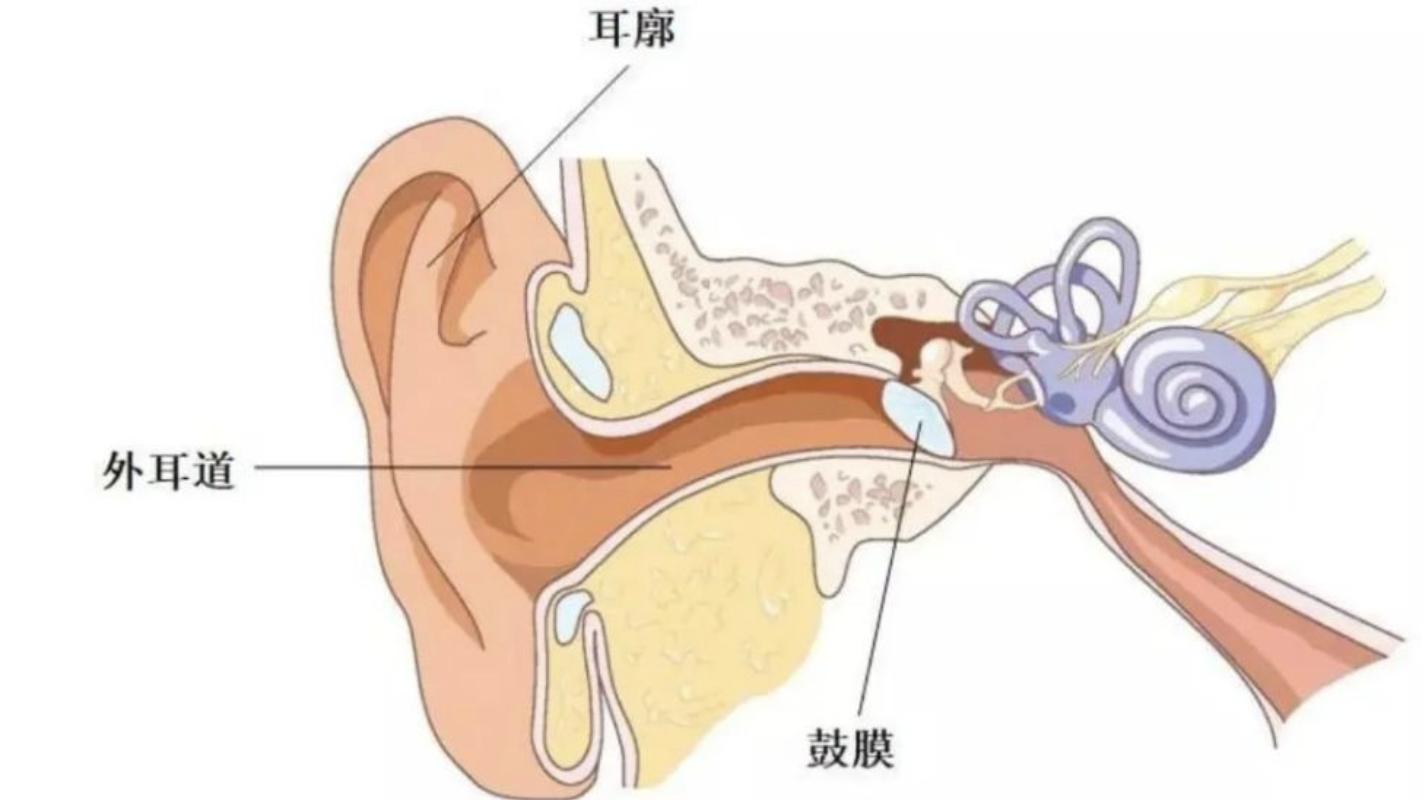 宝宝耳屎太多不能掏怎么办,宝宝耳屎多不给清理怎么办