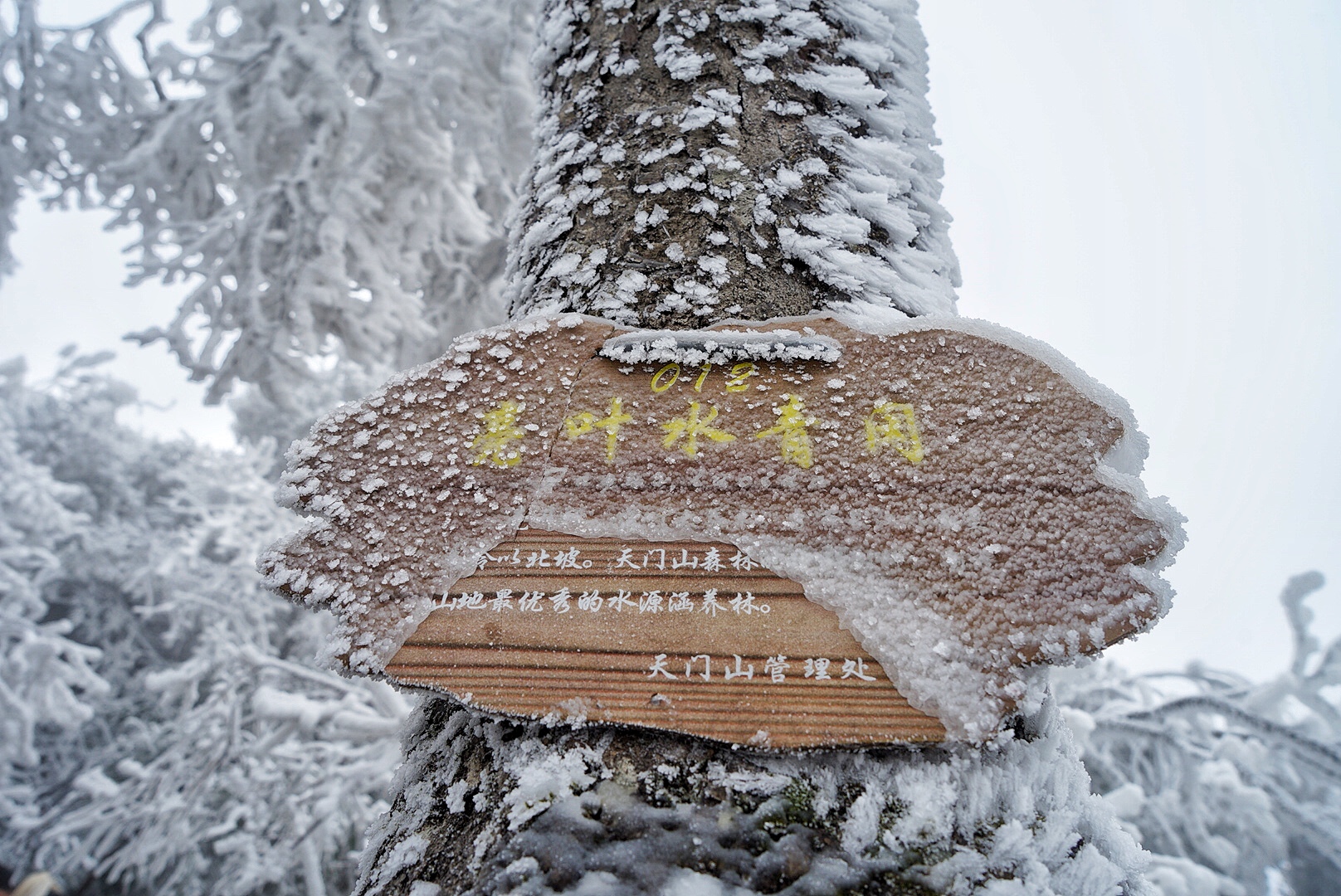 张家界雪季攻略,冬天湖南张家界攻略