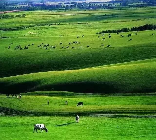 呼伦贝尔不为人知的景点,呼伦贝尔地区道路风景