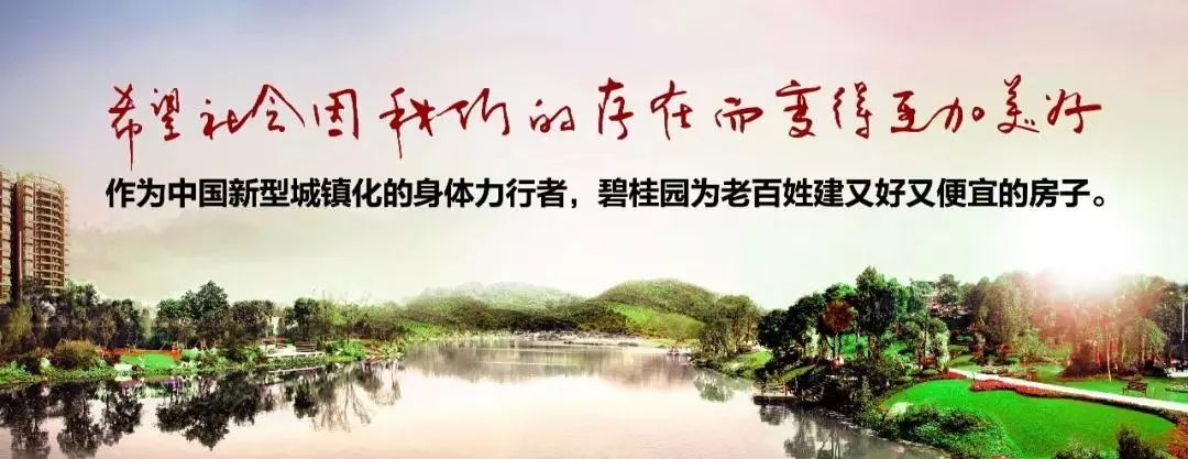 碧桂园集团*党**委赴立白集团、富士康科技集团学习交流*党**建工作