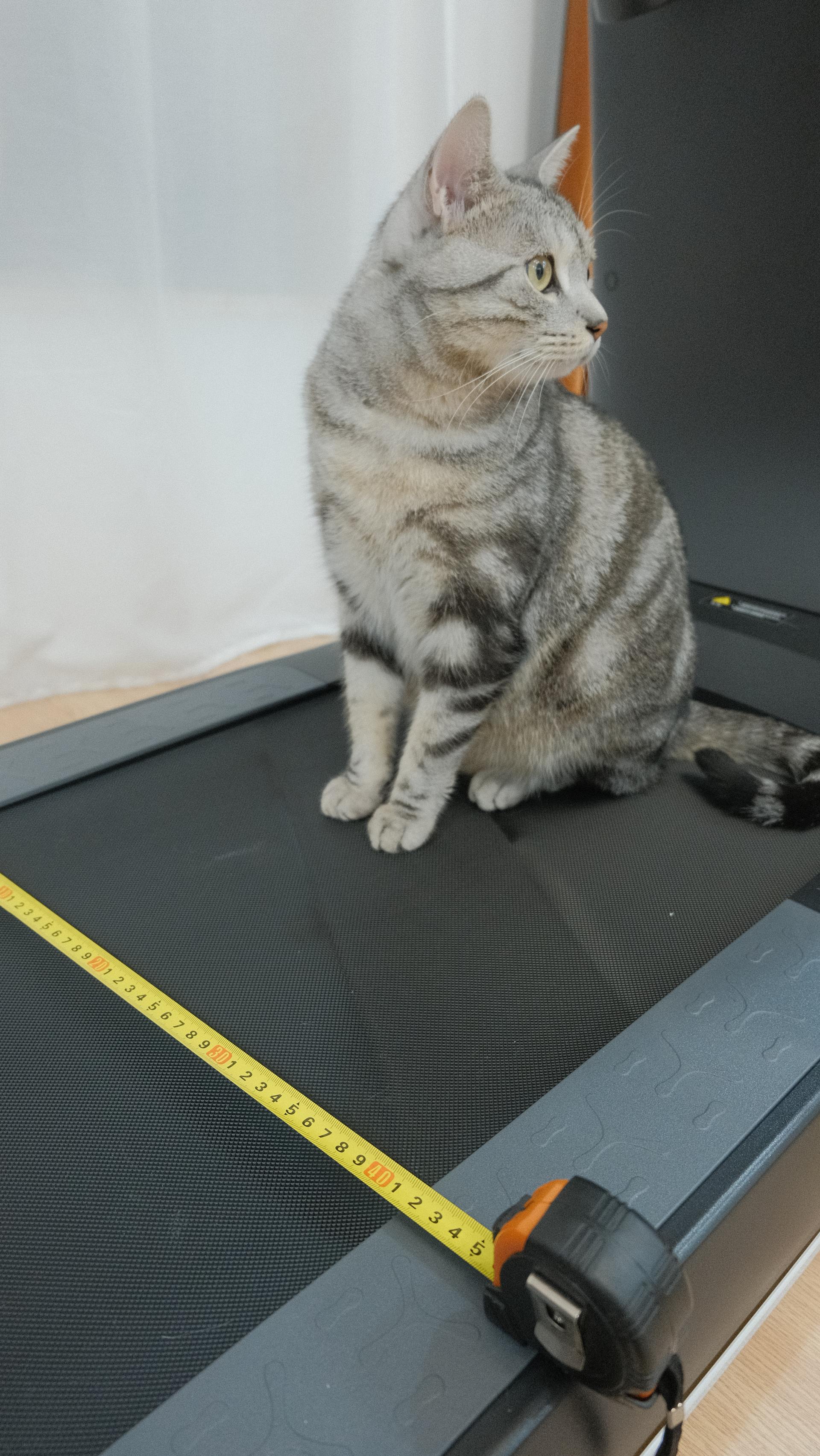 为什么不推荐家用跑步机,家用跑步机到底有没有必要