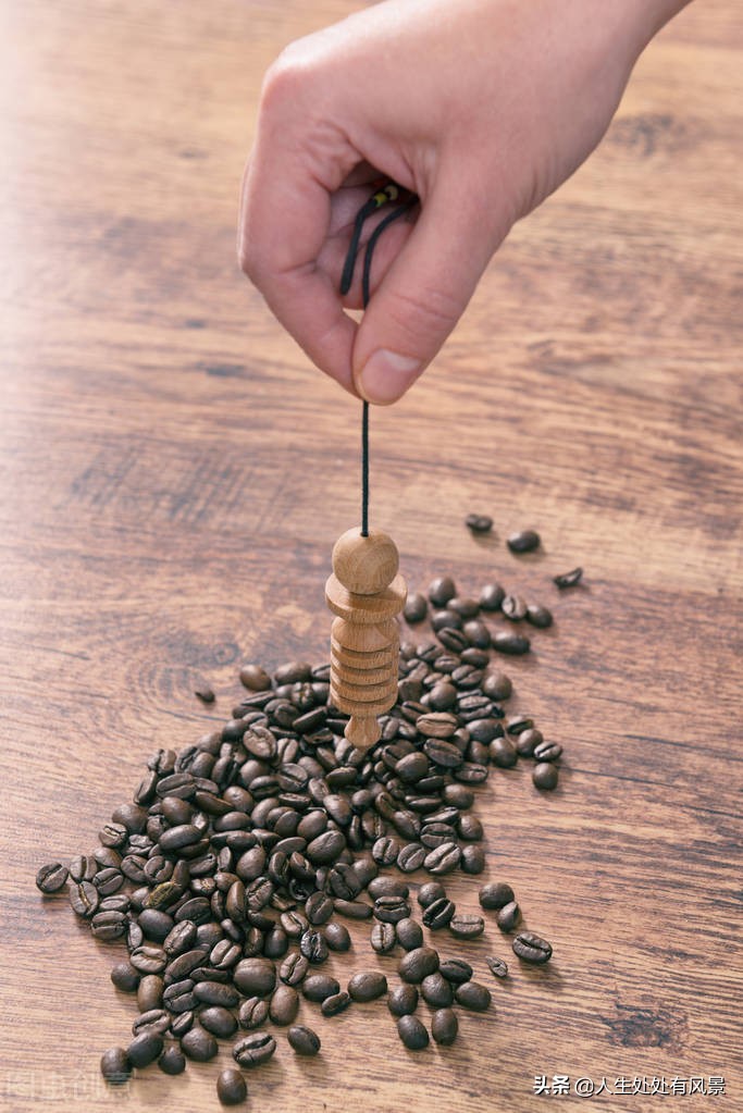 写作|种子的旅行｜杨柳风习作点评