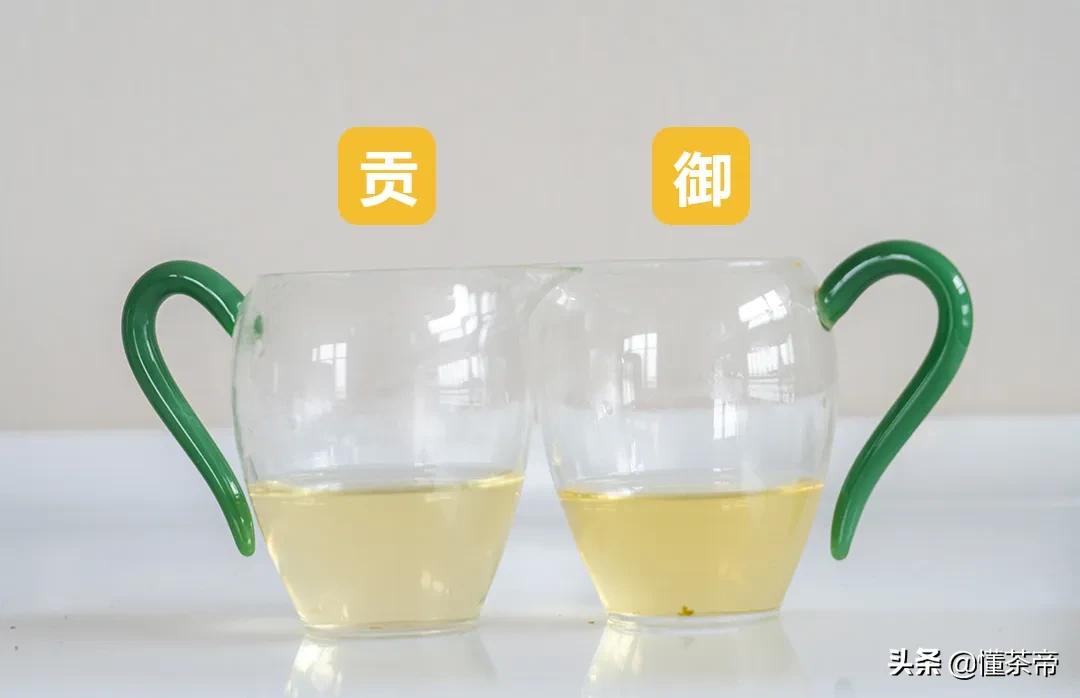 龙井春茶测评,龙井测评排行