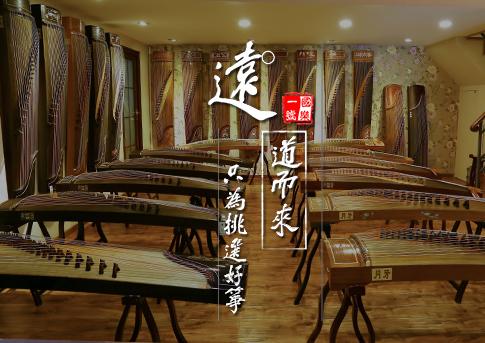 敦煌古筝694和696哪个好,敦煌古筝694系列用什么弦