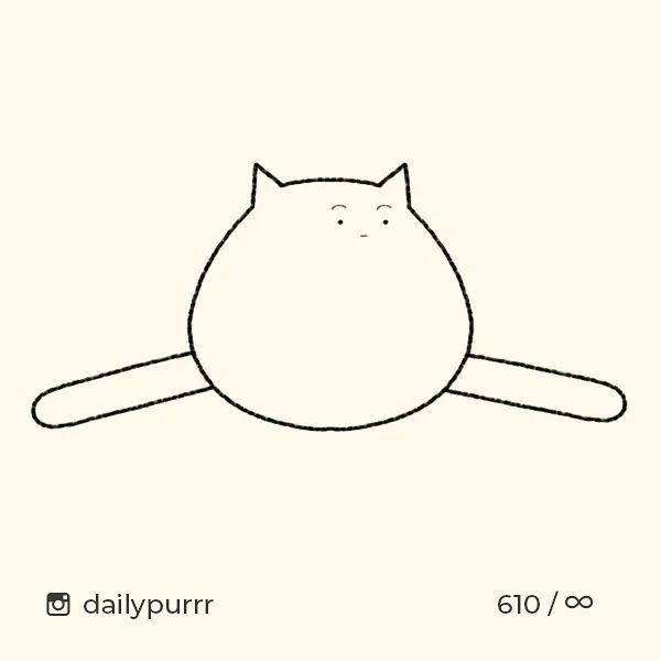 猫是一种液体吗看完长知识了,猫是液体猫咪吗