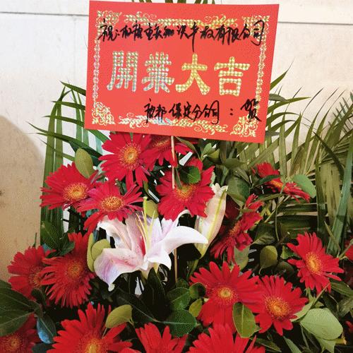 坚守不“渝”以诚立信丨权唐（重庆）知识产权服务有限公司开业