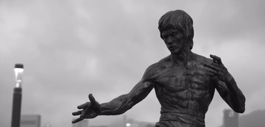 龙虎武师和龙马精神,龙虎武师的搏命人生