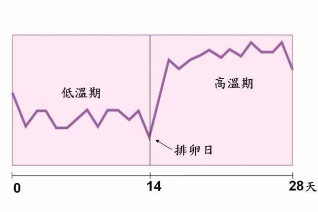 “排卵期”到来时，女人可能会出现这3个“感觉”，要抓住时机！