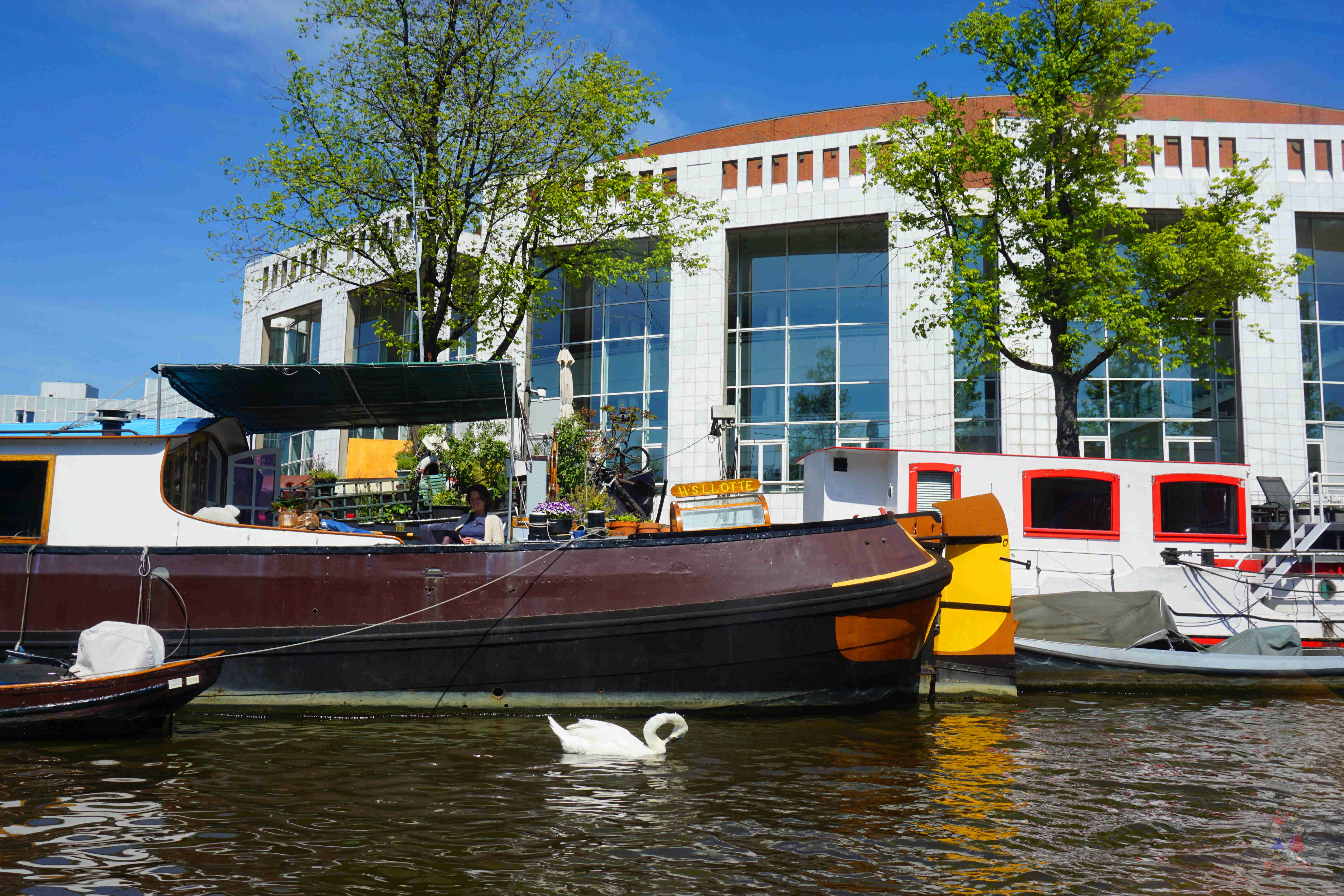 梵高游荷兰攻略,到荷兰夜游梵高星空之路