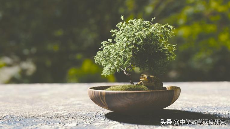经历过泥泞的路才有脚印,平坦的路固然好走