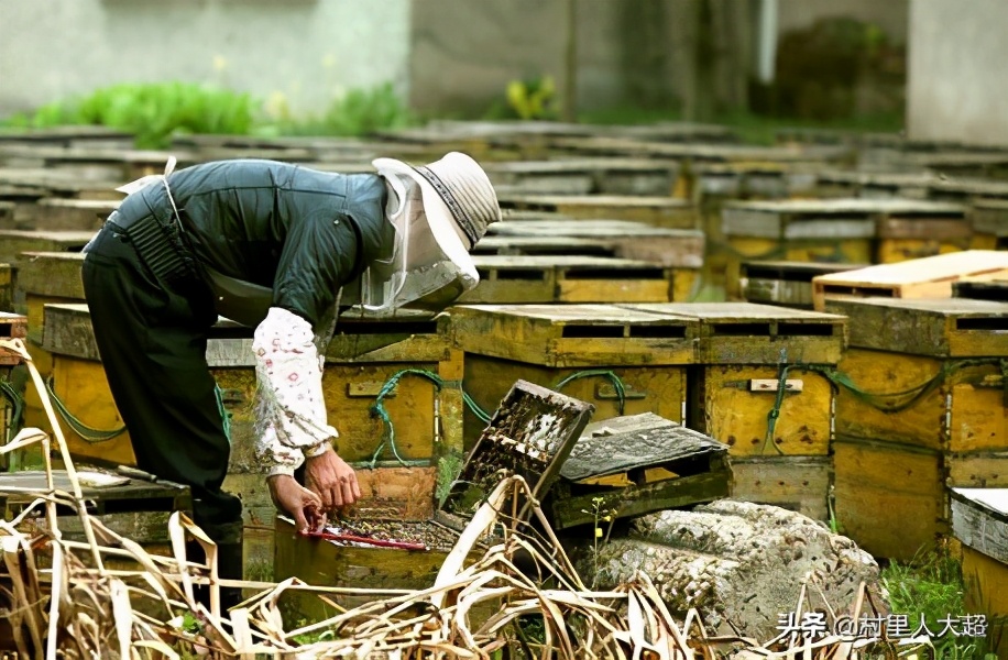 农民回乡创业做什么生意好,农民返乡有什么创业门路