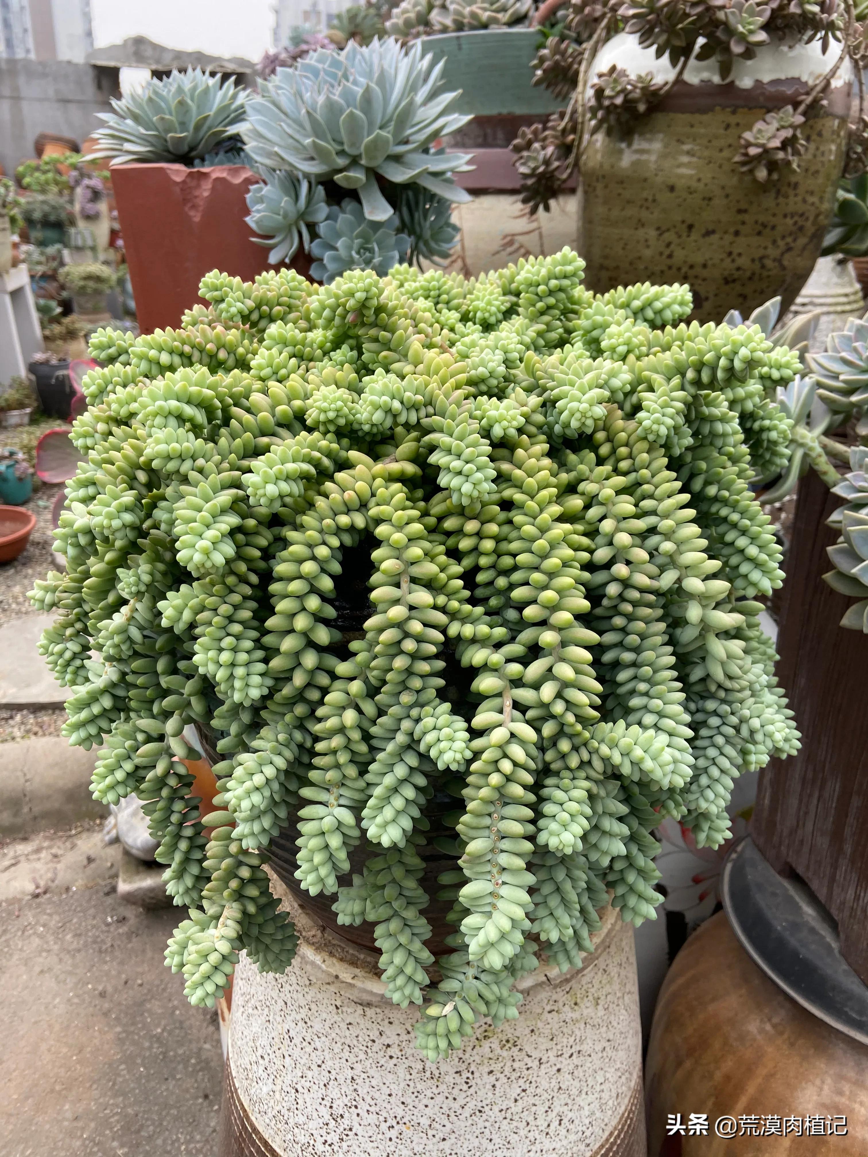 原来兴趣爱好真的能赚钱（一）