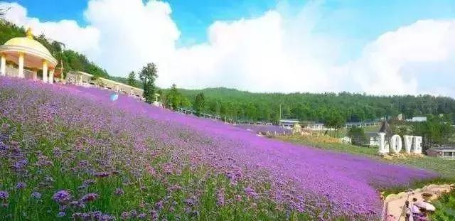 开州一个小县城,开州一座山水城市