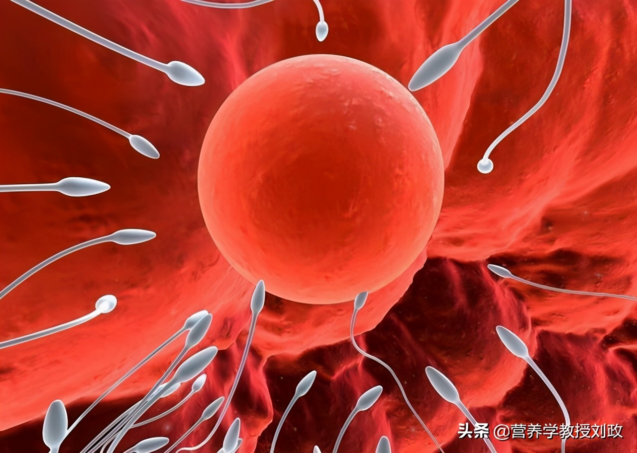 男人生殖障碍吃什么药副功能小,男性生殖障碍中医还是西医治疗