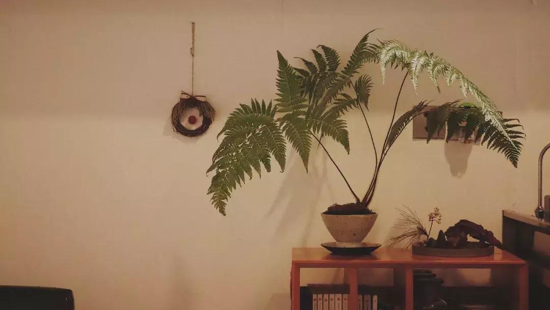 成都慢生活咖啡推荐,成都咖啡最佳推荐