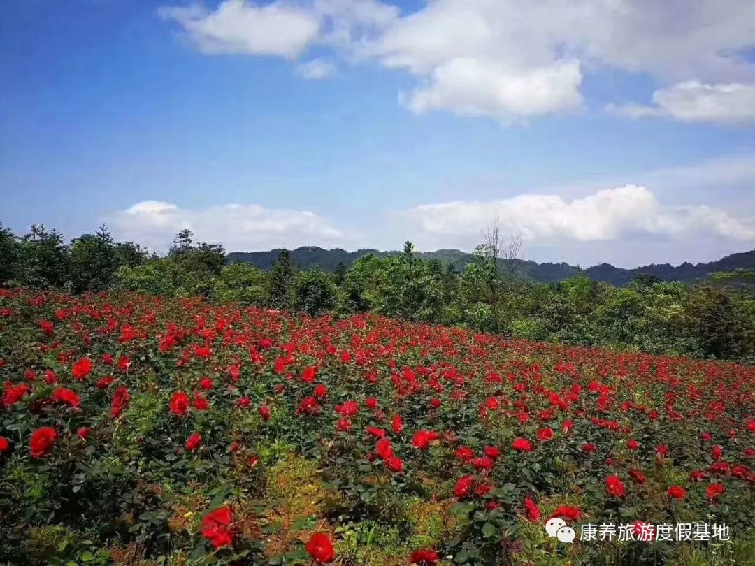 当下看完这篇文章，相信你已经按耐不住想来体验了