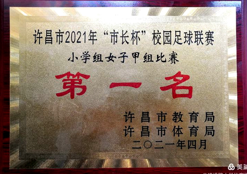 2017第三届市长杯校园足球联赛,2021年郑州市市长杯足球比赛小学