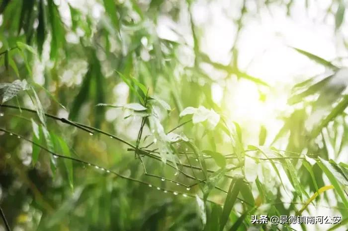 江浙诗友会雅集|三春丽景三春醉，一院清香一院诗