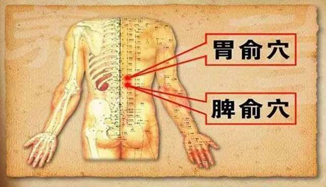 吃什么东西能够改善脾胃虚寒,跑步能改善脾胃虚寒吗