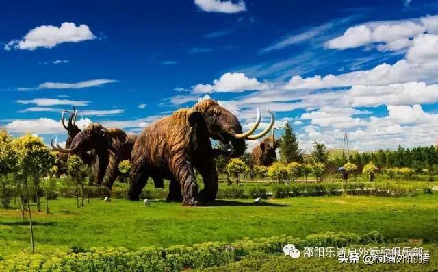 呼伦贝尔大草原七日自驾游攻略,呼伦贝尔大草原深度游