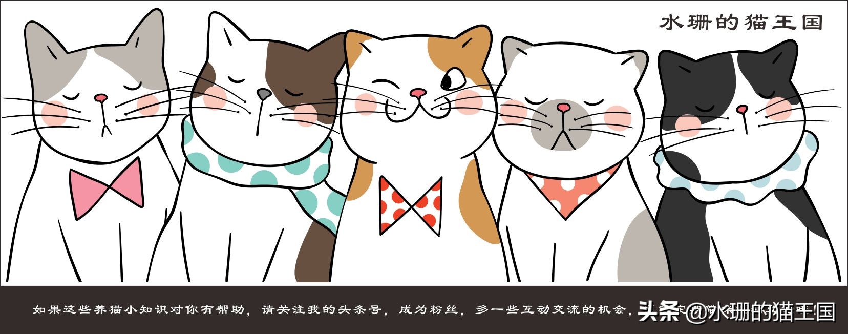 寒冬猫咪被救,有保暖措施猫咪最低能承受多少度
