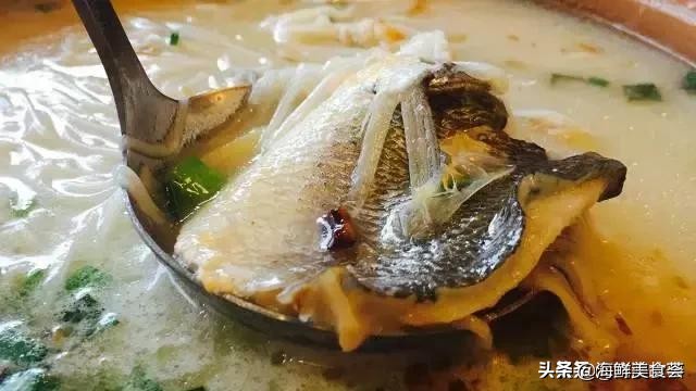 曾是四大海产之一，靠叫声互相识别，却被人类用噪声团灭