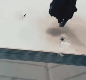 干掉蚊子的100种方法,消灭蚊子的100种方法第24种