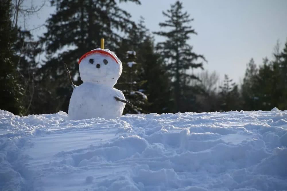 十首绝美下雪诗词五言,关于下雪的诗句古诗词大全