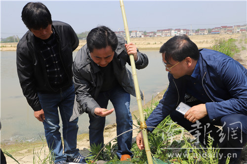 农科行家深入田间地头,科技行家进村春耕