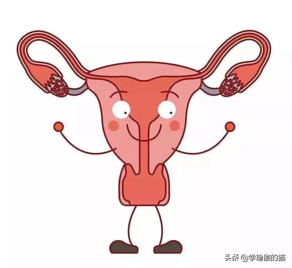 月经期能够练习盆底肌吗,女性月经期能够训练吗