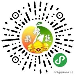 枣树春季修剪的时间和方法,春季枣树什么时候喷石硫合剂最佳
