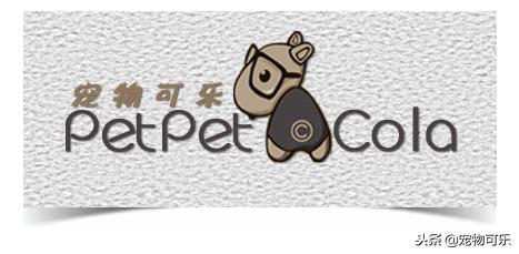 猫狗都爱吃的食物,宠物猫狗补充营养的食物