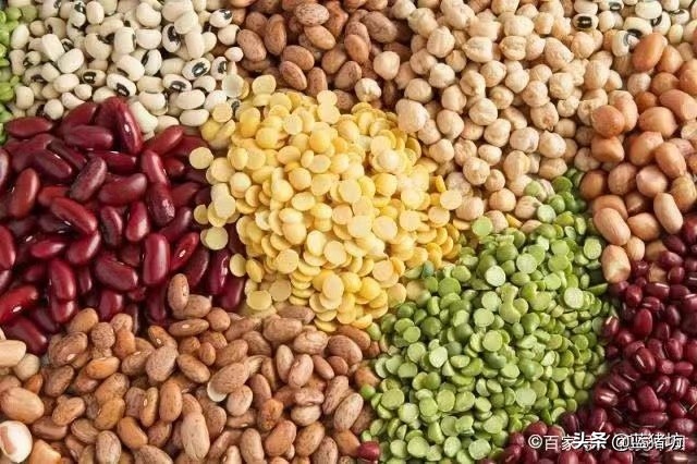 六个月宝宝除了米粉能够吃什么,6个月宝宝除了米粉还需要吃什么