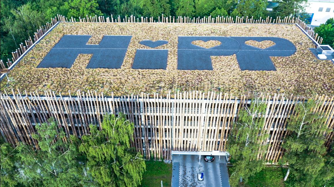 德国喜宝和国产喜宝的区别,德国hipp喜宝婴儿米糊米粉怎么样