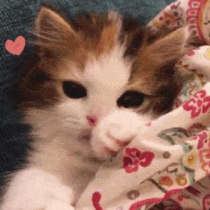 mac最新款口红尤雾弹,mac少女唇釉推荐