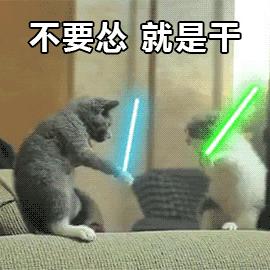 三国杀:熊孩子当武将，小黑妹与小萝莉，谁是你最爱的小武将