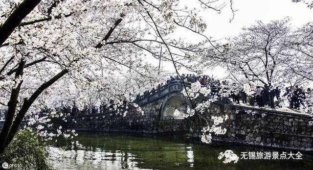无锡旅游景点最值得去的有哪些,无锡旅游有哪些景点值得去看