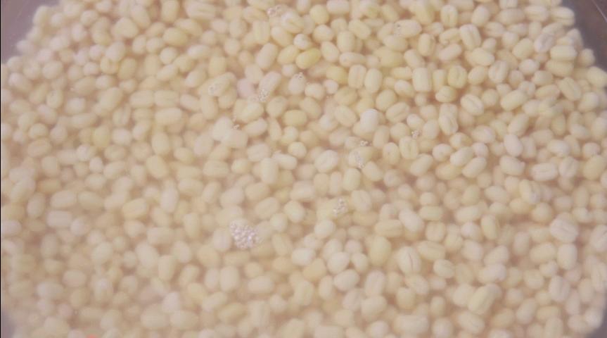 最简单的绿豆糕怎么做好吃,怎样做的绿豆糕才好吃