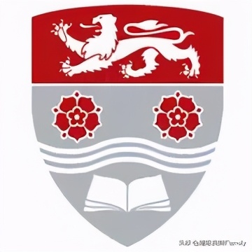 英国金史密斯学校怎么样,英国金史密斯学院纯艺术