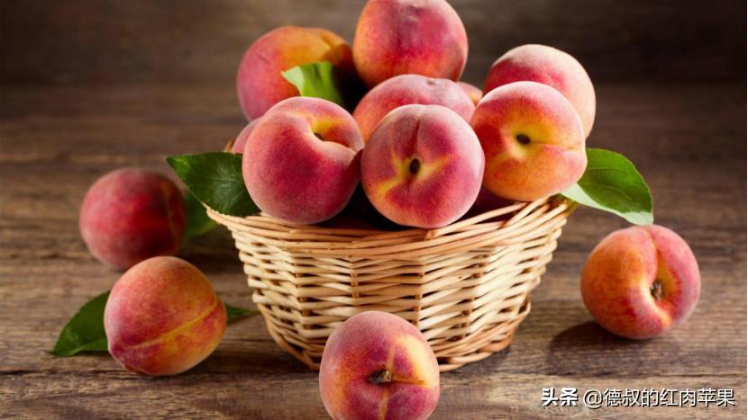 上枝桃和下枝桃怎样区别,怎样辨别观赏桃树与食用桃