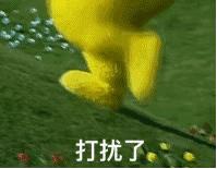 香奈儿和lv哪款包包值得买,chanel包和lv包推荐