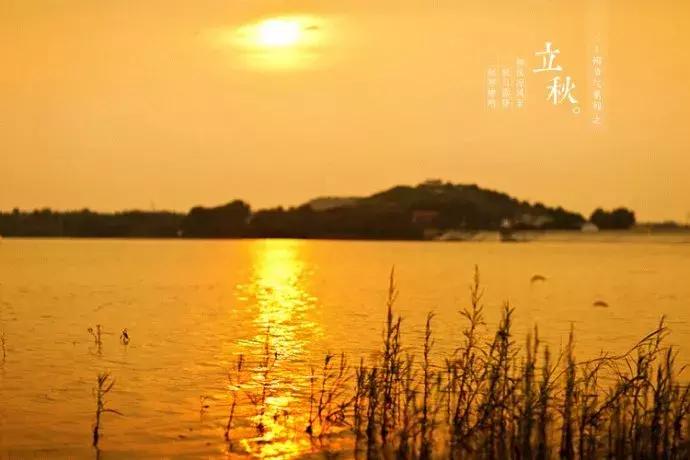 当下也有美诗读！和尚诗壁（76）回望当年牵手处，而今唯有落花新