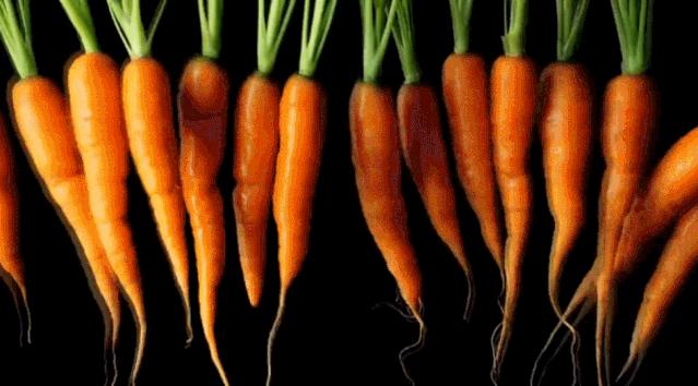 这个国家满街帅哥1米8，和中国互相安利，都安利错了，你知道吗？