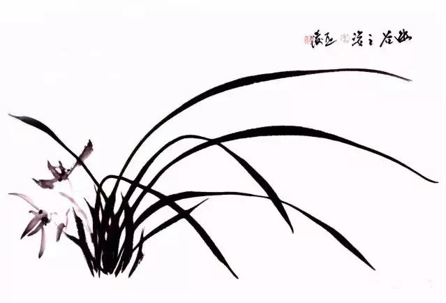 国画兰花绘画图,简单国画兰花画法教程