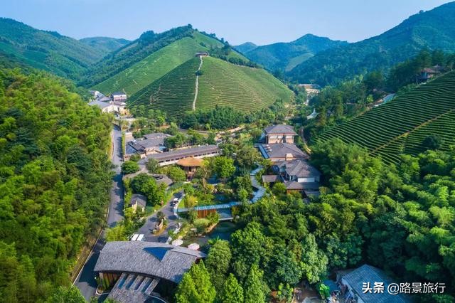 浙江安吉旅游攻略自由行攻略,江浙沪周边一日游自驾游推荐安吉
